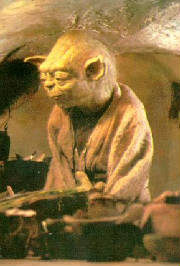 yoda18.jpg